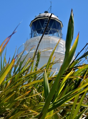 The famous East Cape lighthouse.
